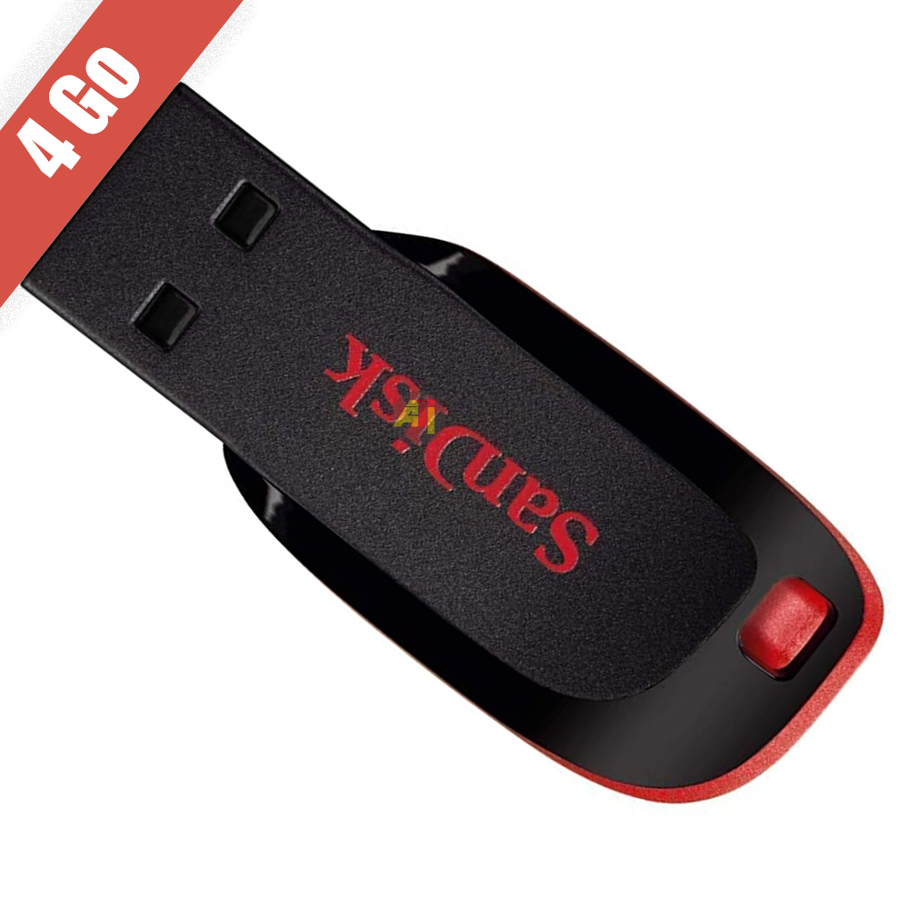 Clé USB 4Go - Marque Sandisk Cruzer Blade USB 2.0 Flash Drive