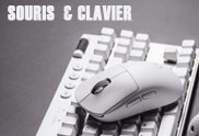 Souris clavuier Vignette TOGO INFORMATIQUE