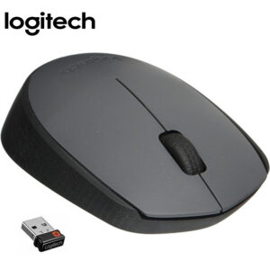 Logitech M170